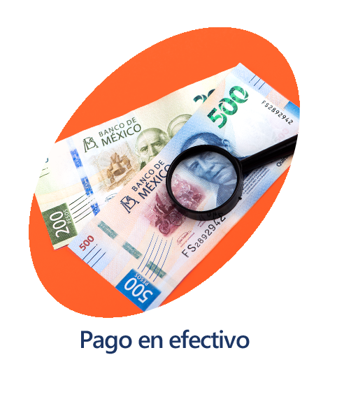 pago en efectivo